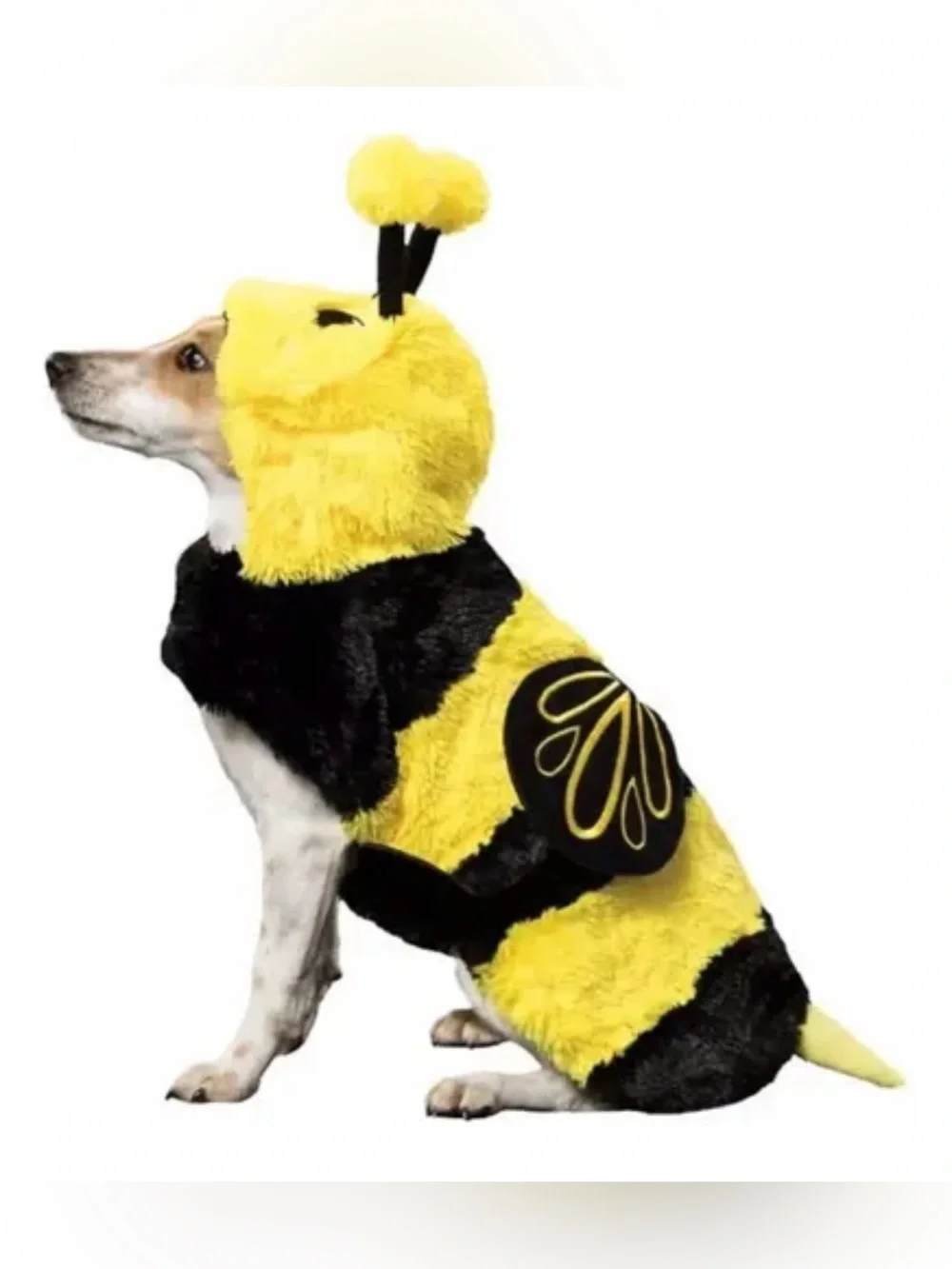 ADORABLE 🐝 BUMBLE BEE 🐝 DOG COSTUME SIZE EXTRA LARGE 🌟EUC🌟